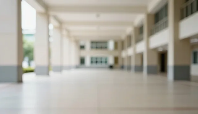 名录性能优化,提升数据处理效率